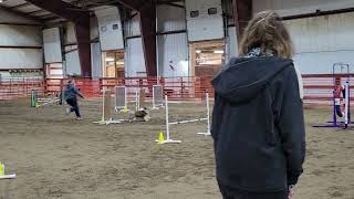 Trevi's Rock and ROLL DMOTC Agility Trial May 2023
