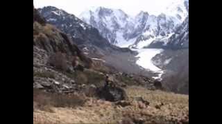 Sequence 02.flv