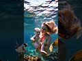 The beauty of the cross under the sea and the strange story of the mermaid