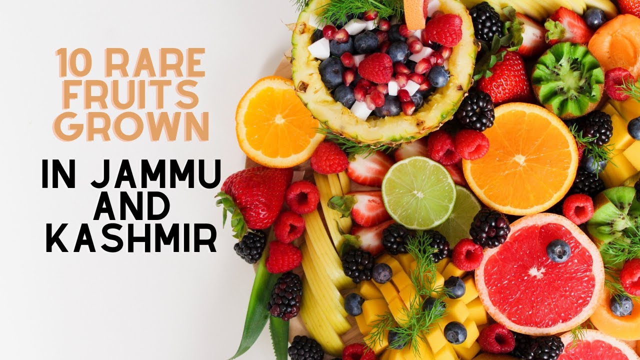10 Rare Fruits Grown in Jammu and Kashmir HowAGardenWorks YouTube