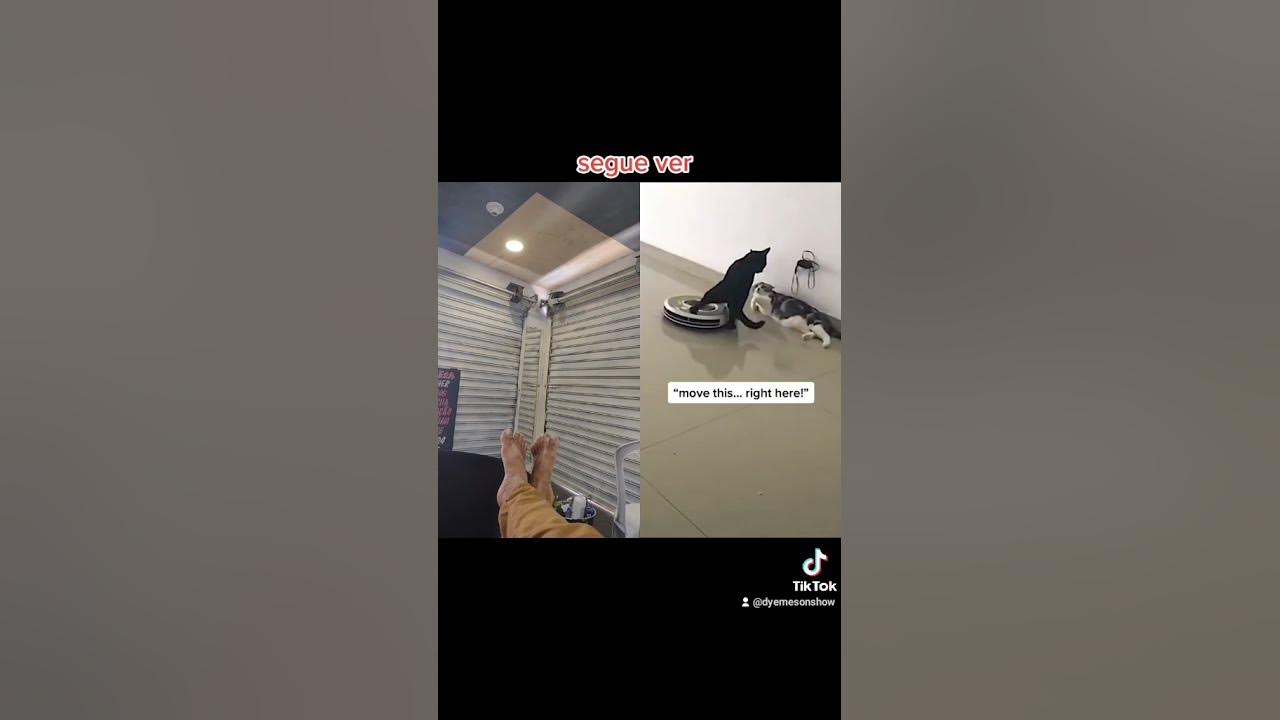 engraçado - YouTube