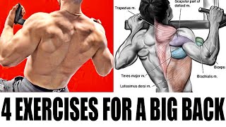 4 Exercises For A Big Back! | Training with Josh's dad “Pops