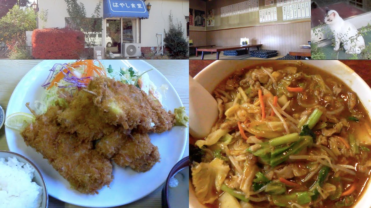千葉県八街市『はやし食堂』で串カツ定食（3本）& 辛い肉そば：豚ヒレ肉の串カツ定食はうなる美味しさ。麻婆野菜の乗った肉そばも又うまし！地元で大人気の昭和レトロな定食屋さん（ネコちゃんもいるよ🐈）