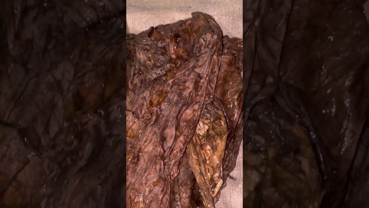 Cleaned fronto leaves before  Processed to Grabba  “Rollinz Grabba”