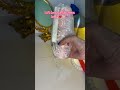 Another daraz shopping haul .. 🎀✨❤️ #viral #unboxing #darazhaul #shopping #haul #digitalcreator
