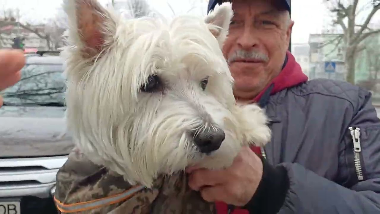 Две тяжелых ночи в Одессе. Как пережили.