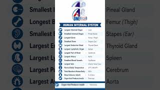 Human Internal System Simplified #tips #medicalstudents #shorts