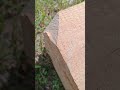 Тест сабельной пилы Михото!