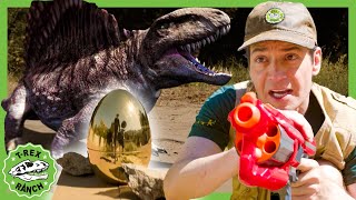 Taking on Pranks Obstacle Couses  |  TRex Ranch Dinosaur Videos