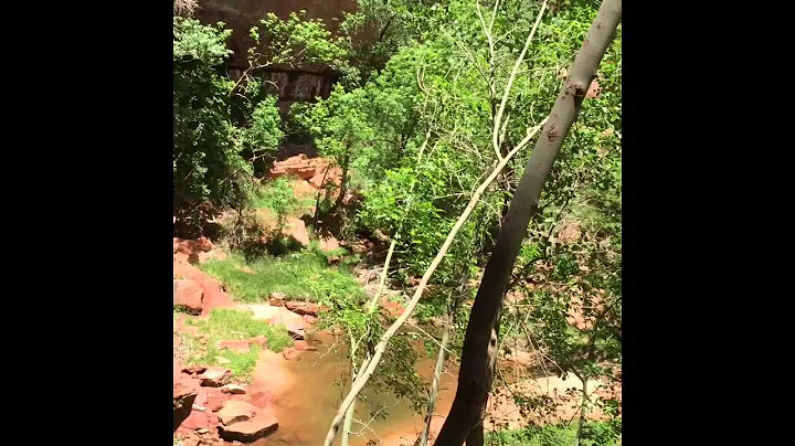 Emerald Pools Hike
