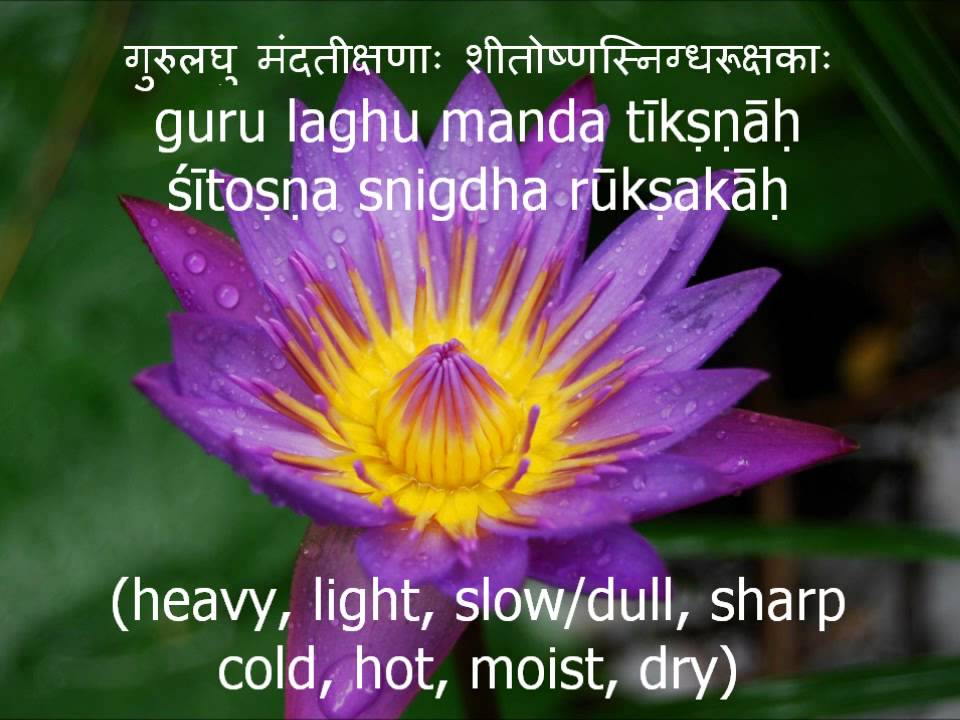 The 20 Gunas of Ayurveda YouTube