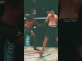 Brutal KO 😲 - Share #ufc #pfl #efc
