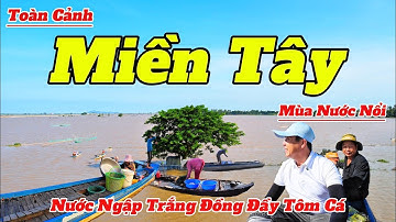Toàn Cảnh Miền Tây Mùa Nước Nổi Vùng Biên Giới Việt Nam - Campuchia  2025 Quá Đặc Sắc