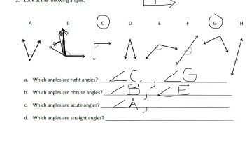 Grade 4 Module 4 Lesson 2 Exit Slip 2