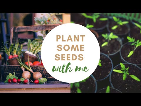 Garden With Me | Planting some new seeds!