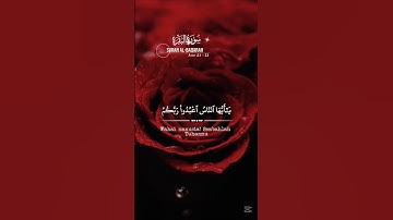 سوره بقره: آیه - 21/22 تلاوت زیبا #صحراسفاریدxbme #دبی #قرآن #امارات #سفر