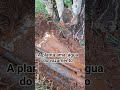 CAÇA VAZAMENTO COM APARELHO ELETRÔNICO 61.984743315 BRASÍLIA DF GOIÁS LIGUE AGORA