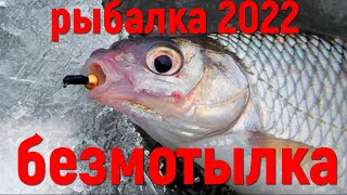 рыбалка удалась ловля на безмотлыку со льда зимняя рыбалка 2021-22
