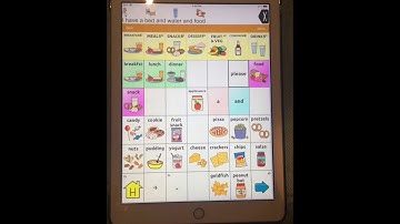 Aided language modeling on TouchChat: Getting a New Puppy