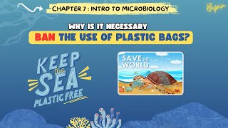 Why is it necessary to ban the use of plastic bags? #science_2 #class_10 #plasticfree #ssc