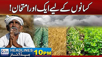 Bad News For Farmers ! l 10pm News Headlines l 31 Oct 2025 l Rohi