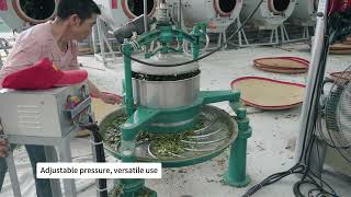 On-site shooting of tea processing workers operating this 6CRT-55 tea rolling machine