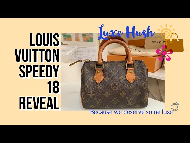 Vintage Louis Vuitton Speedy 18