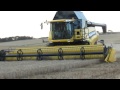 New Holland CR9080 Combining Winter Wheat