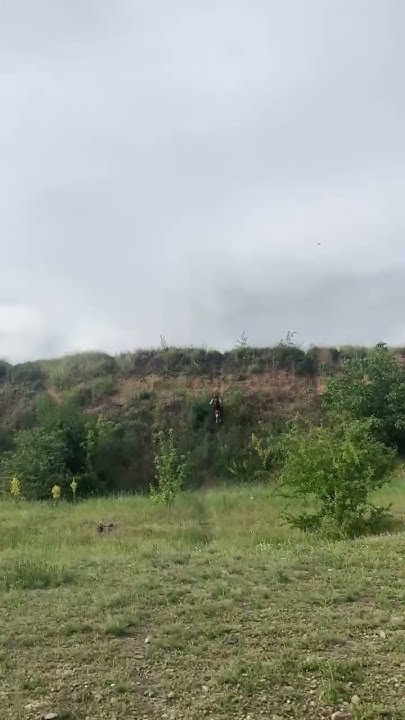 #эндуро #всевэндуро#fxmoto#cb300f.k2# - YouTube