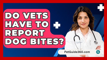 Do Vets Have To Report Dog Bites? - PetGuide360.com