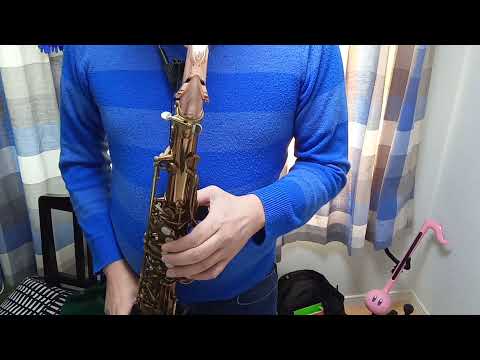 おじさんのサックス練習日誌「勿忘」T.Sax Phil Barone Hollywood LESH2 8☆使用
