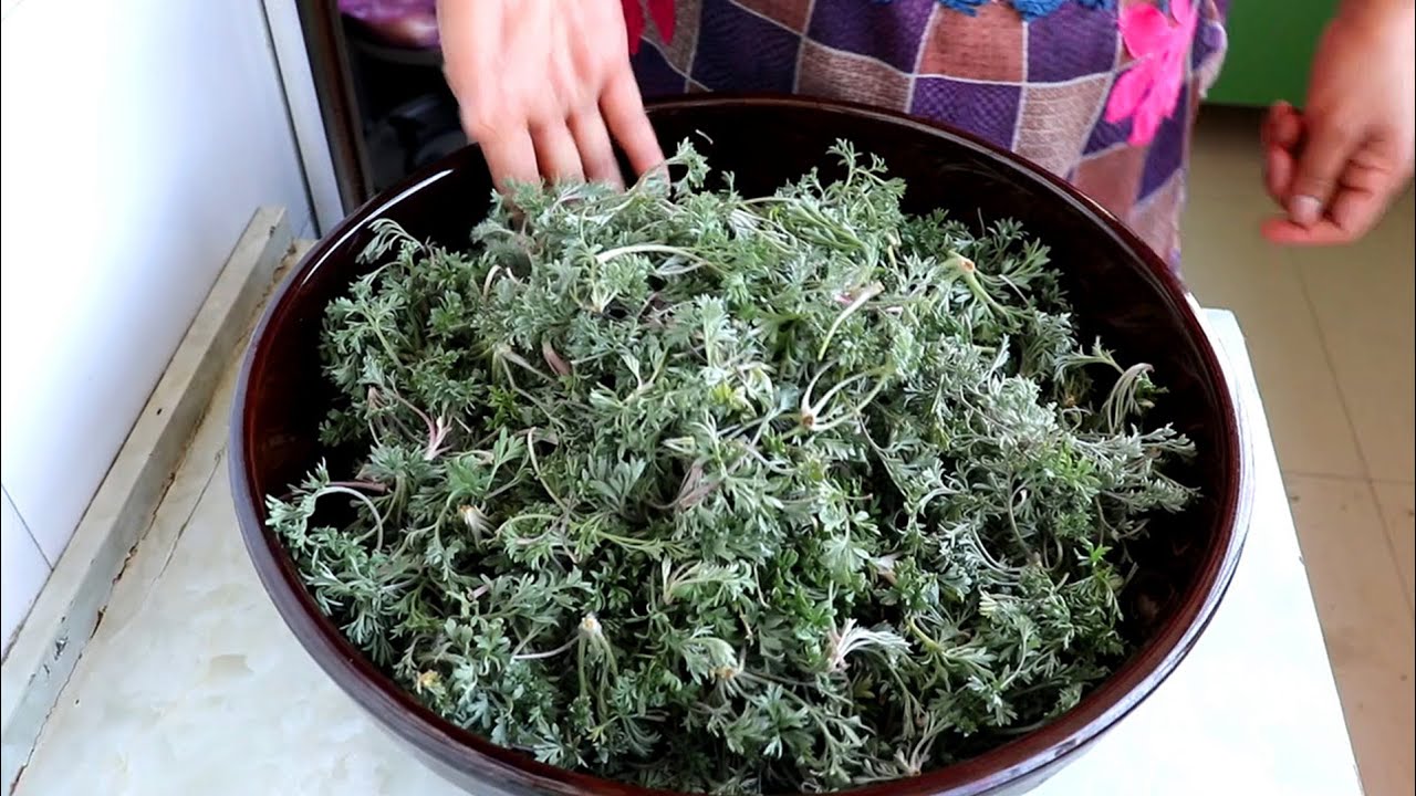 正月茵陈二月蒿 教你农村野菜白蒿最好吃的做法 做一大盆不够吃 Youtube