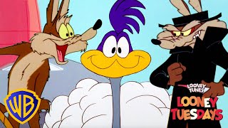 Looney Tuesdays | How NOT To Capture The Roadrunner | WB Kids screenshot 3