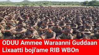 ODUU Ammee Waraanni Guddaan Lixaatti boji'ame | Moha Oromo