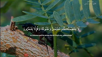 | سورة النمل - إسلام صبحي | 15-19