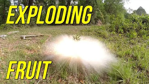 Exploding Fruit with the Fostech Stealth Raptor