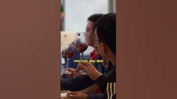 Tầng Hương Của Những Chai Rượu Vang Đắt Tiền