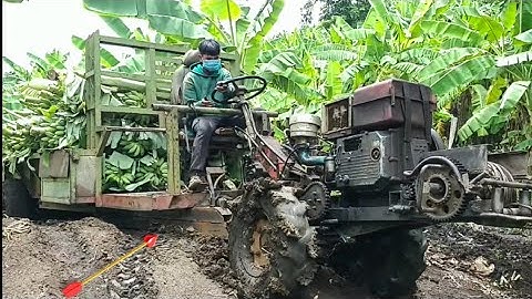 xe công nông 2 cầu chở chuối đường này bị mắc kẹt và cái kết cực kỳ khỏe
