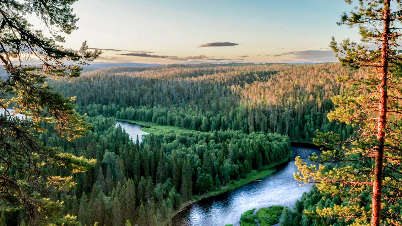 ILTAPISTO KITKALLE | Kaikkien aikojen kalastuskesä 3/4 (Perhokalastus, Kitkajoki)