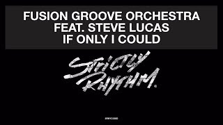 Fusion Groove Orchestra Feat. Steve Lucas - If Only I Could (Liem Remix) [] Resimi