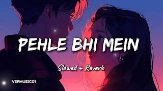 Pehle Bhi Mein Song { Slowed  + Reverb } | Vishal Mishra | Animal Movie | Aesthetic | #pehlebhimain