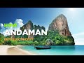 Andaman Electricity Grid: Challenges & Solutions