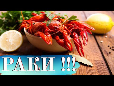 Как правильно и