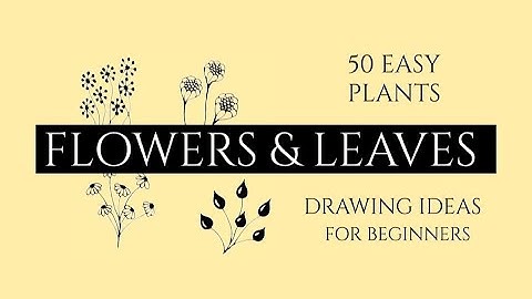 How to draw easy zentangle flowers and plants I Easy floral doodle ideas for beginners