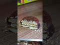 The Most Satisfying Chocolate Cutting Ever 🍫😋#asmr