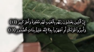 سورة الملك بصوت يغسل القلب مع صوت المطر #اكسبلور #المصحف #قرآن