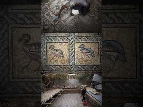 مزارع من غزة يكتشف لوحة فسيفسائية مزخرفة تعود للعهد البيزنطي