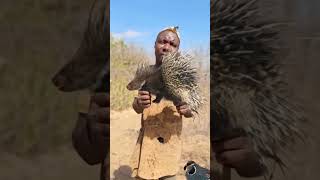 Hadzabe Porcupine Hunting