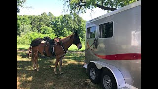 DIY Bumper Pull Horse Trailer Conversion Part IV Walls, Bed and Solar
