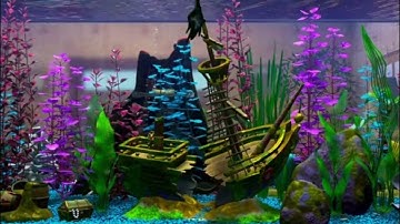 Finding Nemo: Collector